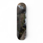 Lemurs Animals skateboards