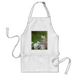 Lemurs aprons