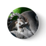 Lemurs Eating buttons
