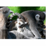 Lemurs Eating photo sculptures