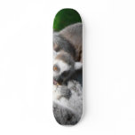 Lemurs Eating skateboards