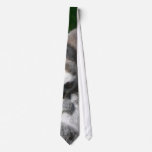 Lemurs Eating ties