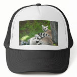 Lemurs hats
