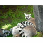 Lemurs photo sculptures