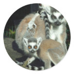 Lemurs stickers