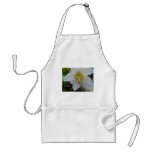 Lenten Rose Flower aprons