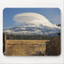 ~ Lenticular View ~ Mouse Mats