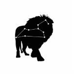 Leo Constellation/Zodiac Photo Sculpture photo sculptures