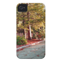 Leo Harrison St Pk  Path 2.JPG iPhone 4 Case-Mate Cases