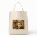 Leo - Lions in Coloured Pencil Eco-Friendly Tote bags