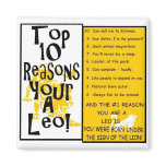 Leo magnets