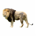 leo photo sculptures