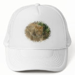 Leo the Lion Hat