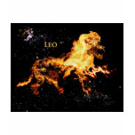 Leo the Lion t-shirts
