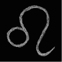 Leo. Zodiac Astrology Sign. Black. Photo Sculpture