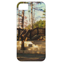 Leonard Harrison St Pk Overlook Stairs iPhone 5 Cover