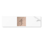 Leonardo da Vinci, design for a parabolic compass Bumper Stickers
