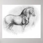 Leonardo DaVinci Horse poster posters