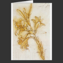 LeonardodaVinciLilydetail1 cards