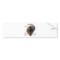Leonberger History Design