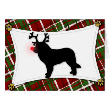 Leonberger Reindeer Christmas Card