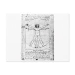 Leondardo Da Vinci Proportion Man postcards