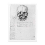 Leondardo Da Vinci Skull 002 postcards