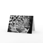 Leopard #1-Greeting card