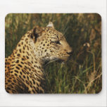 Leopard (alert & sitting up) wild animal mousepads