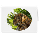 LEOPARD AND PALMS cards