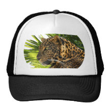 LEOPARD AND PALMS MESH HATS