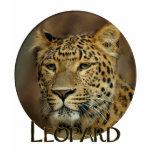 leopard art t-shirts
