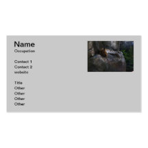 Leopard Business Cards