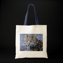 Leopard Cub Bag