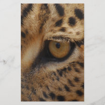 Leopard Eye Flyer Design