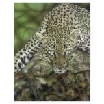 Leopard Flyers