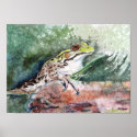 Leopard Frog posters