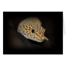 Leopard Gecko Card