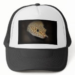 Leopard Gecko Hat