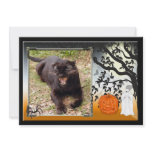 leopard-halloween-2010-0025-f invitations