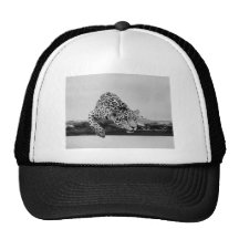 Leopard Hats