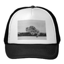 Leopard in black and white mesh hat