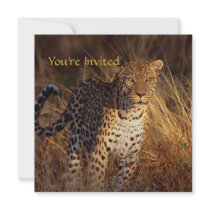 Leopard in Sunset Glow Your-Occasion Custom Invite
