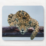Leopard in the tree 1 mouse pads