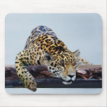 Leopard in the tree II Mouse Pads