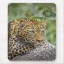Leopard in Tree Mousepad