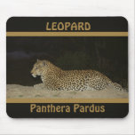 Leopard lying on sand bank wildlife mousepads