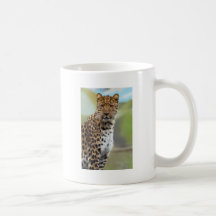 Leopard Mugs