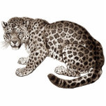 Leopard photo sculptures