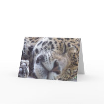 Leopard Picture Greeting Card